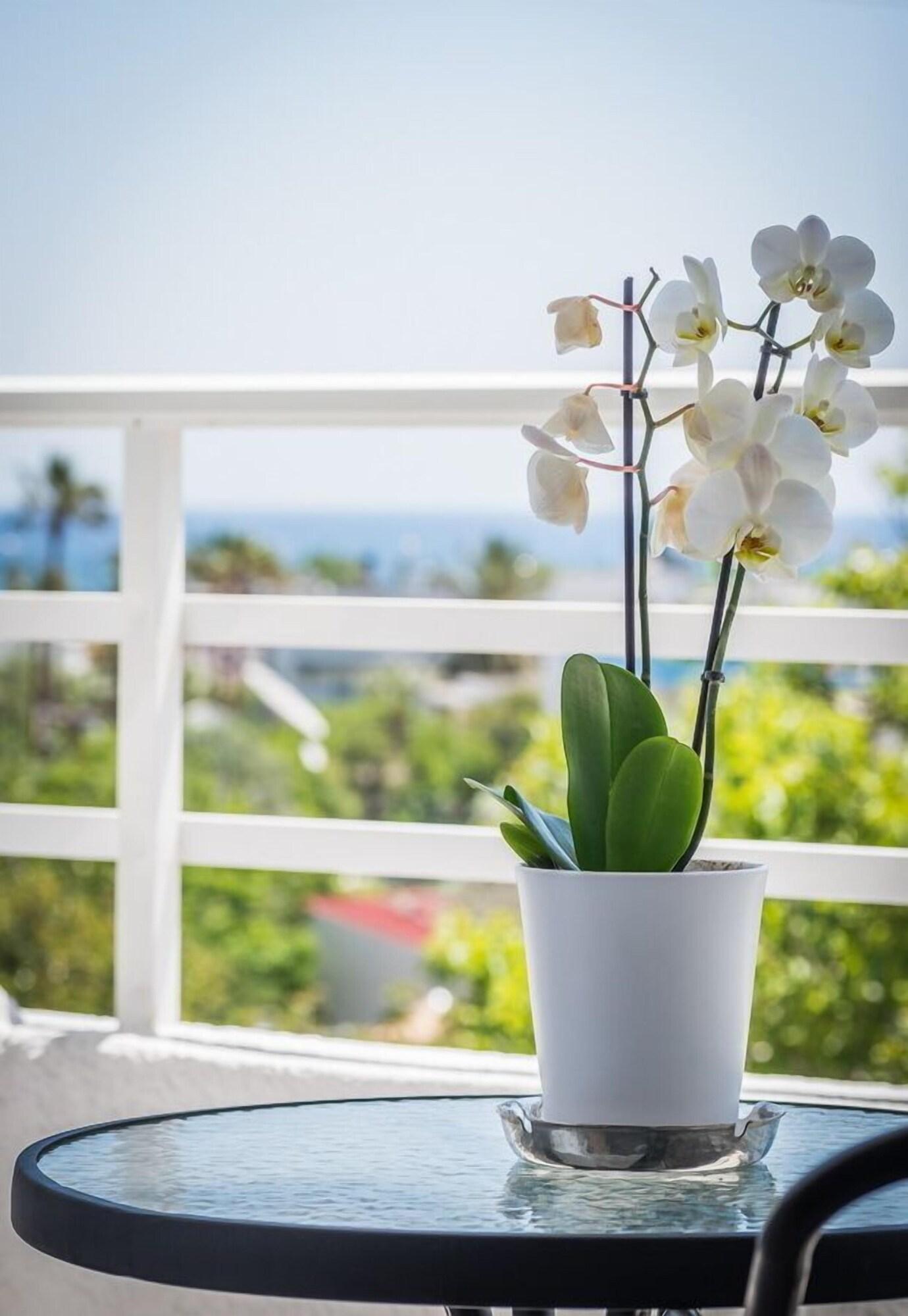Essential Summer (Adults Only) Faliraki Ngoại thất bức ảnh